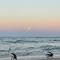 Wintersview 9 - Lennox Head