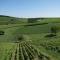 Au pied des Vignes
