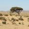 Auberge Aain Nakhla