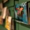 Appartementhaus Winter