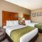 Comfort Inn & Suites Sacramento - University Area