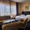 Hotel Coandi