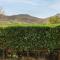 Bythynnod Newydd - Trevor