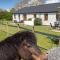 Mynydd Cottage