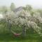 Farmers Room at Sedliacky Dvor - Brezno