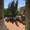 Susu’Z Village Hostel and Rooms