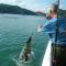 Shearwater Country House Accommodation