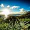 Rocklands Seaside Bed and Breakfast