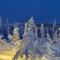 Holiday Home Alte ruka ansa by Interhome - 鲁卡