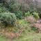 West Loch House - West Tarbert