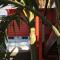 Piton Bungalows Ecolodges