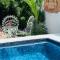 The Quetzal
