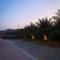Algor Farm
