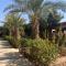 Riad le Jasmin - Taroudant