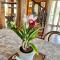 Rang Robin Farmstay with swimming pool - Ban Wang Muang