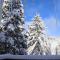 Spacious Lake Arrowhead Home with 2 Decks and Views - Лейк-Эрроухед