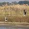 Zambezi Grande Private Game Experience