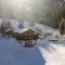 Alp-Cottage for 15 person Mountains of Salzburg - Picheln