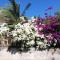 STUDIO LAURIER - 4 pers - proche bourg -1-