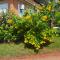 Villa Sunflower