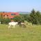 Ponyhof Adam Urlaub auf dem Bauernhof