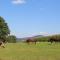 Ponyhof Adam Urlaub auf dem Bauernhof - Eschlkam