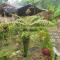 Ijen Miner Family Homestay - Banyuwangi