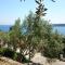 Holiday Home Prišćapac