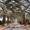 فيلا آفيري Aviary villa