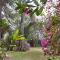 Oasis Bed and Breakfast
