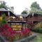 Ijen Miner Family Homestay - 外南梦