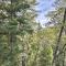 Mountain Escape with Views, 3 Mi to Lake Arrowhead - Twin Peaks