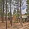 Pet-Friendly Show Low Cabin with Trail Access! - Show Low