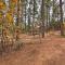 Trail Access Pet-Friendly Cabin in Show Low! - شو لو