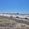 New Listing Ocean and Harbor View Cottage in Beach Resort - Oceanside