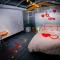 Glamping Cristal