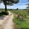 Domaine Faverot