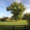 Spirit Tree Inn B&B