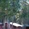 The Cabins at Cloudcroft