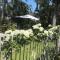 Best Western Mango House Resort
