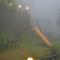 Mist WOODS VAGAMON