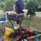Seri Pengkalan Homestay