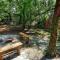Vultures View 3