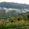 Mu Cang Chai Big view homestay - Sung Lu Chay