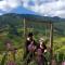 Mu Cang Chai Big view homestay - Sung Lu Chay