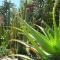 Karoo Soul - Oudtshoorn