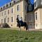 chambre zen château de la Bouchatte - Chazemais