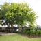 EdenValley Private Manicured Gardens with Fire Pit