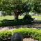 The Oak Studio Yarck