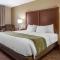 Comfort Inn Okemos - East Lansing